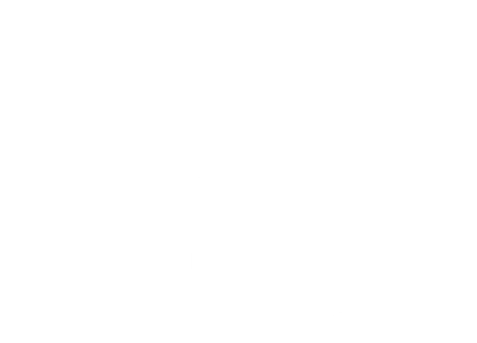 Viwi Ingeniería - Alumbrado público