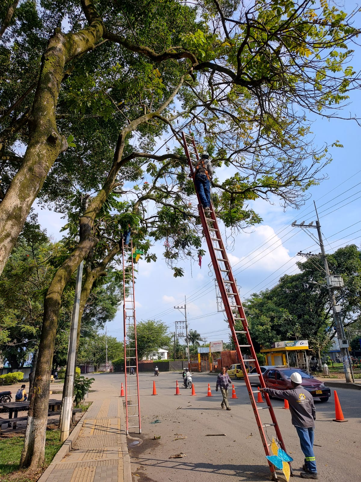 Alumbrado navideño de Jamundí 2023 ejecutado por VIWI Ingeniería