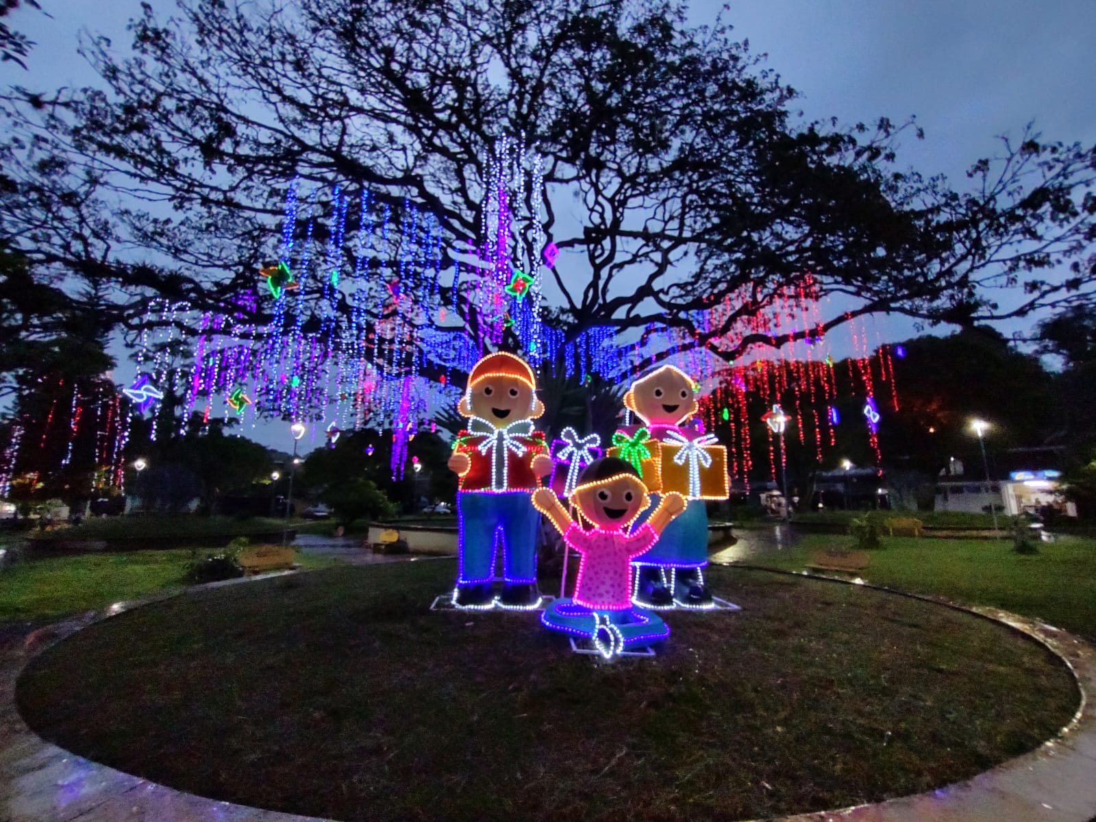 Iluminación navideña instalada en árboles y espacio público de Jamundí